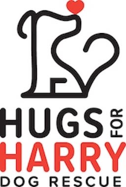 Hugs For Harry logo