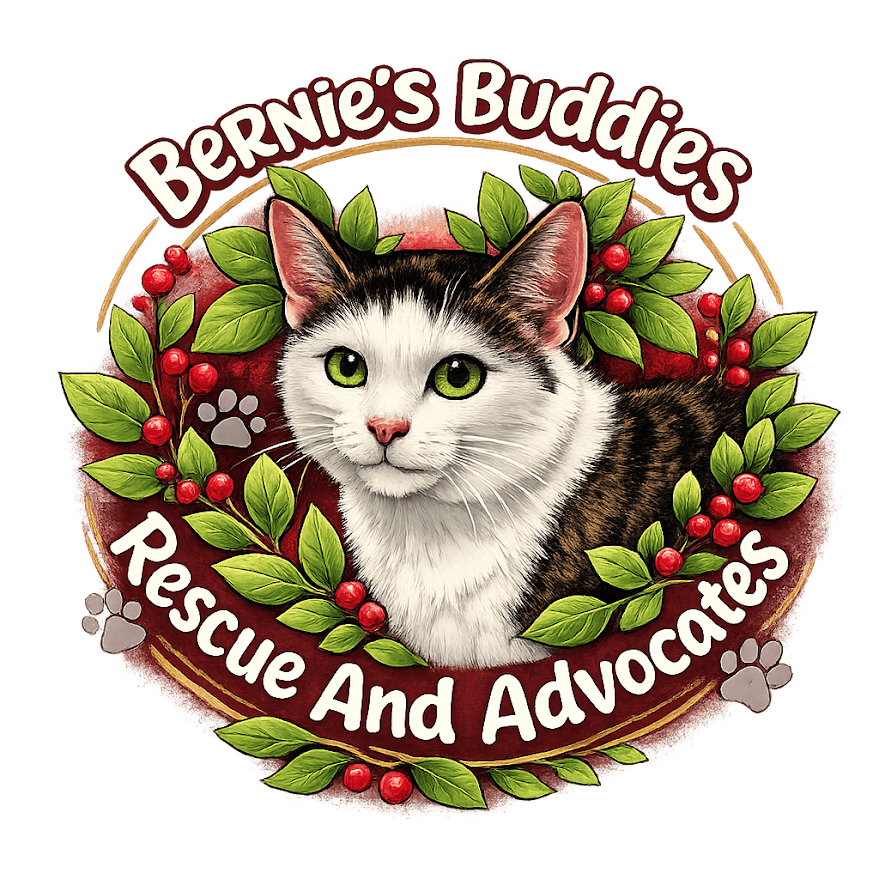 Bernies Buddies Rescue And Advocates logo
