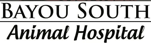 Bayou South Animal Hospital logo