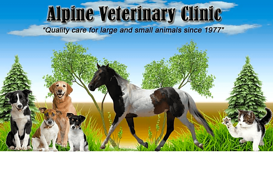 Alpine Veterinary Clinic logo