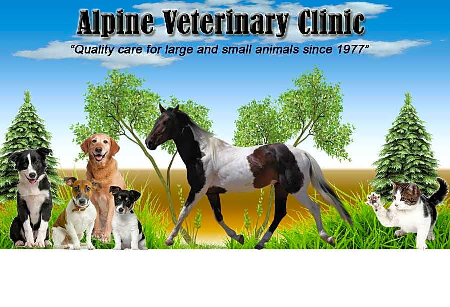 Alpine Veterinary Clinic logo