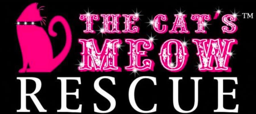 The Cat’s Meow Rescue (TCMR) logo