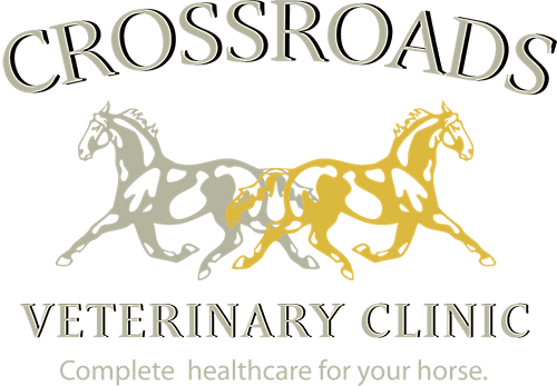 Crossroads Veterinary Clinic:Lynn Rodger, DVM, DACVIM and Mary Boyce, DVM, PhD, DACVS and Charlene Noll, DVM, MSME,DACVS logo