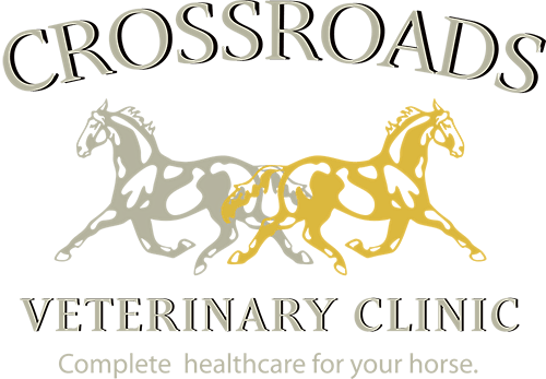 Crossroads Veterinary Clinic:Lynn Rodger, DVM, DACVIM and Mary Boyce, DVM, PhD, DACVS and Charlene Noll, DVM, MSME,DACVS logo