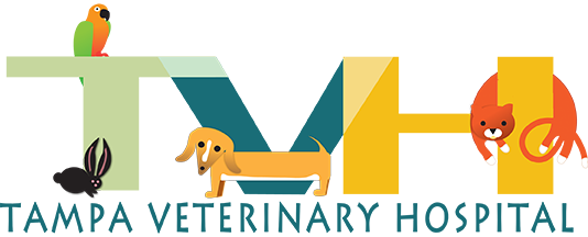 Tampa Veterinary Hospital logo
