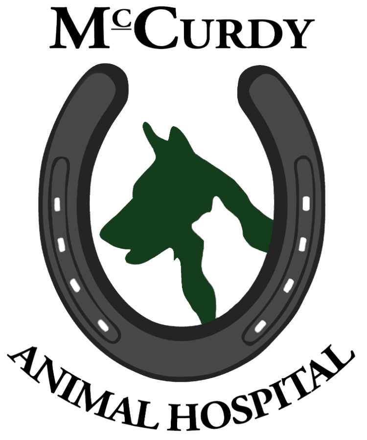 McCurdy Animal Hospital logo