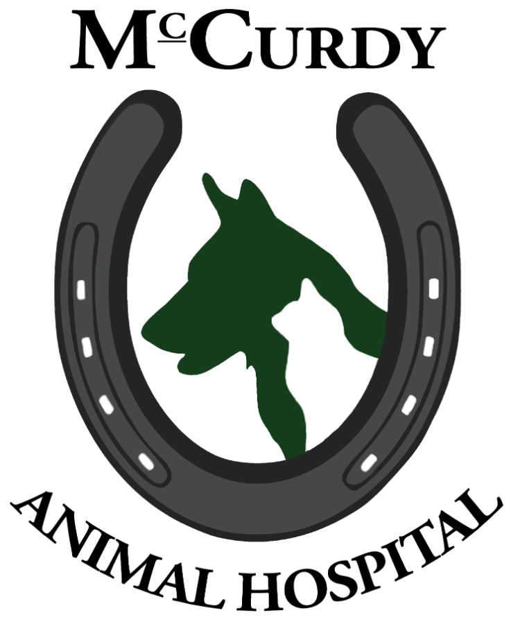 McCurdy Animal Hospital logo
