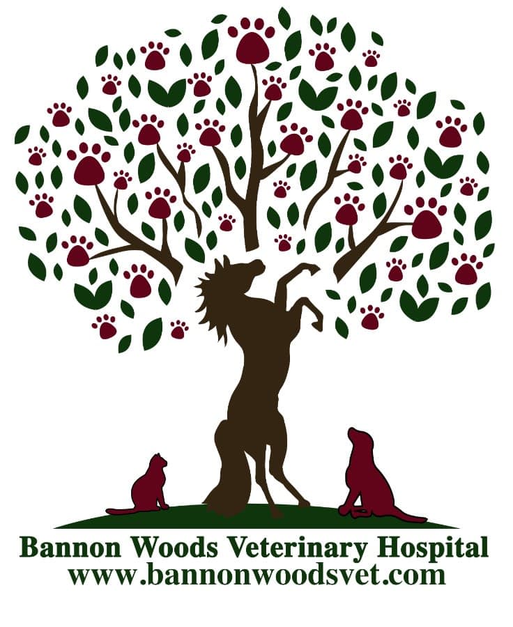 Bannon Woods Veterinary Hospital logo