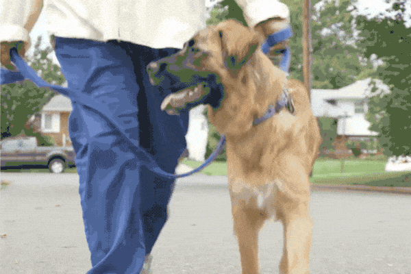 YOUR GIFT TODAY WILL GIVE OTHERS LIKE BEAR THEIR SECOND CHANCE