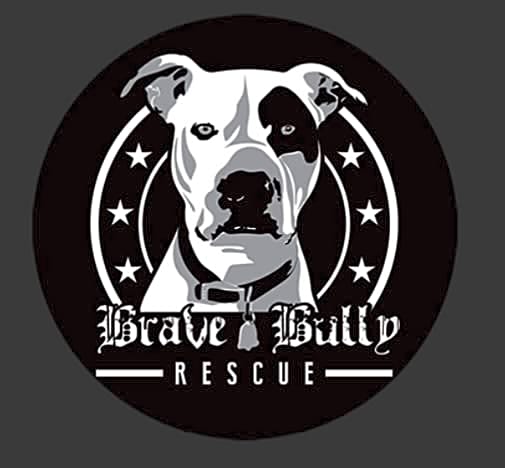 Brave Bully Rescue logo