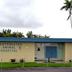 Westchester Animal Hospital logo
