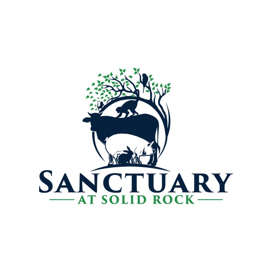 Sanctuary at Solid Rock logo