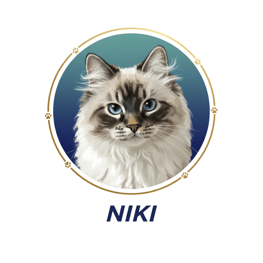 Niki's Fund logo