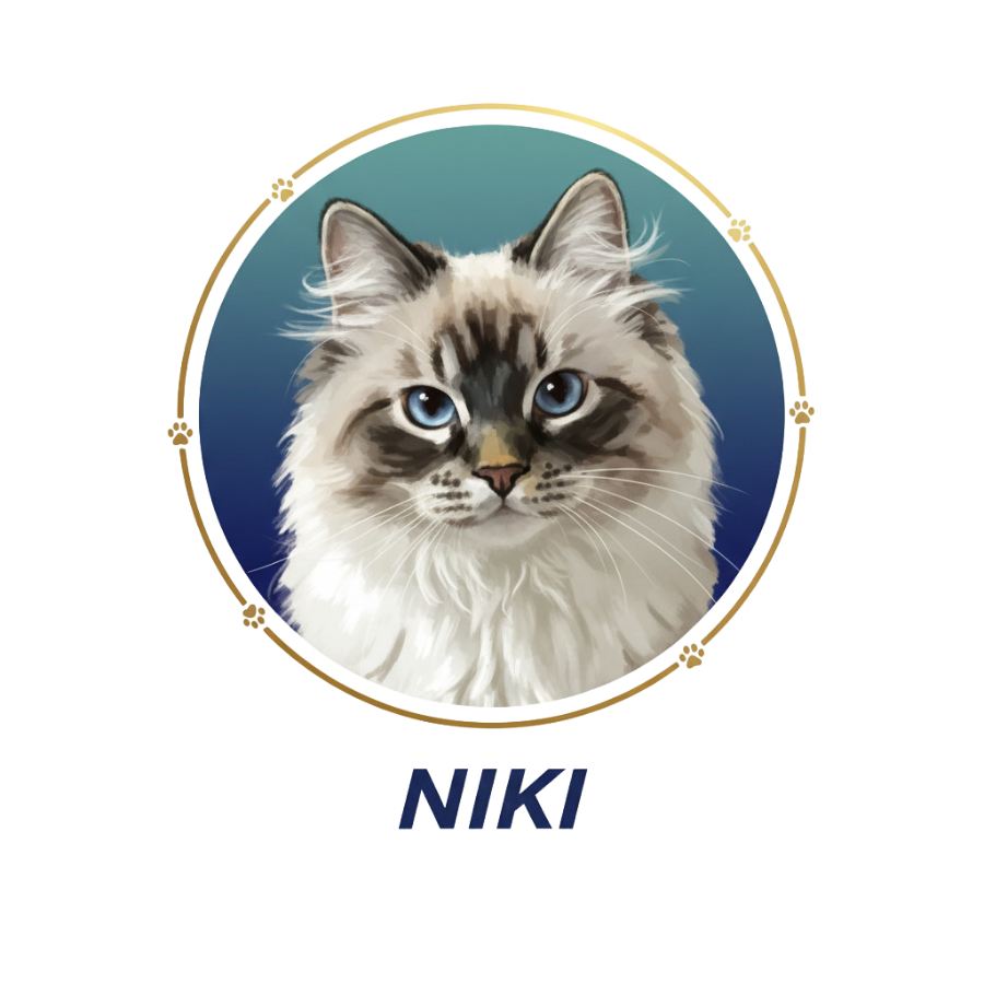 Niki's Fund logo