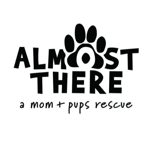 Almost There Rescue logo