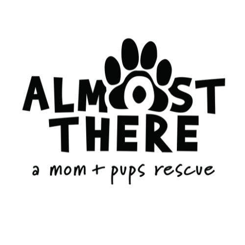 Almost There Rescue logo