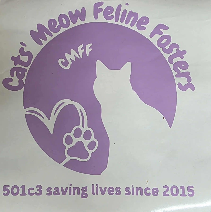 Cats' Meow Feline Fosters, Inc. logo