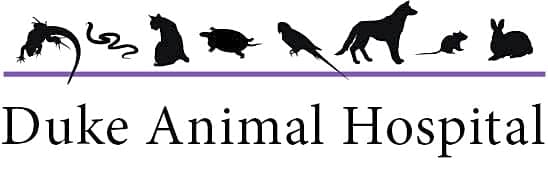 Duke Animal Hospital logo