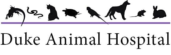 Duke Animal Hospital logo