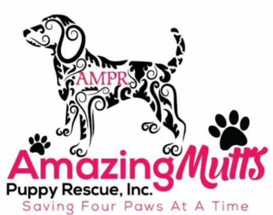 Amazing Mutts Puppy Rescue logo