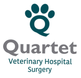 Quartet Veterinary Hospital Surgery logo