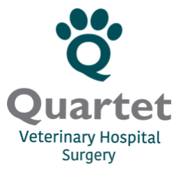 Quartet Veterinary Hospital Surgery logo