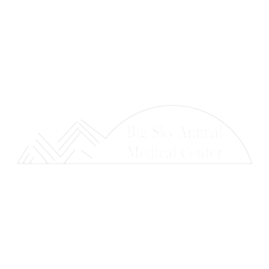 Big Sky Animal Medical Center logo