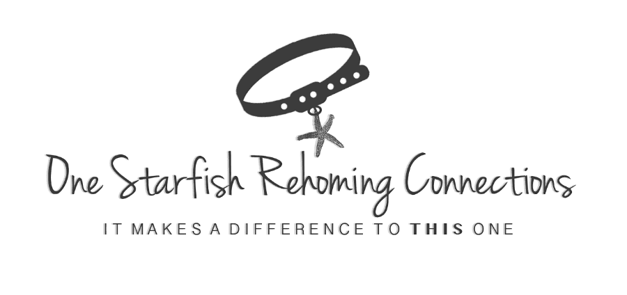 One Starfish Rehoming Connections, Inc logo