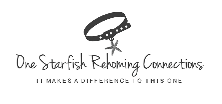 One Starfish Rehoming Connections, Inc logo