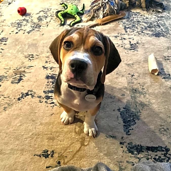 Photo of Captain