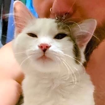 Photo of Stanley
