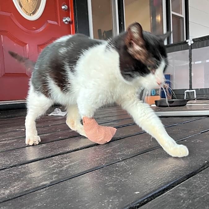Photo of Oliver