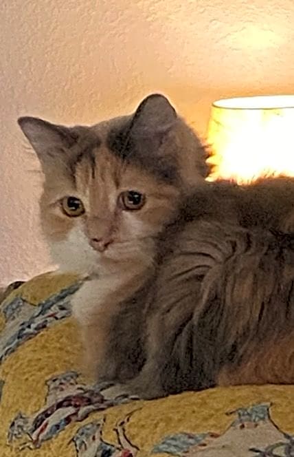 Photo of Bobbi