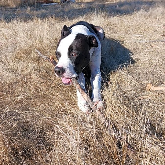 Photo of Zeus