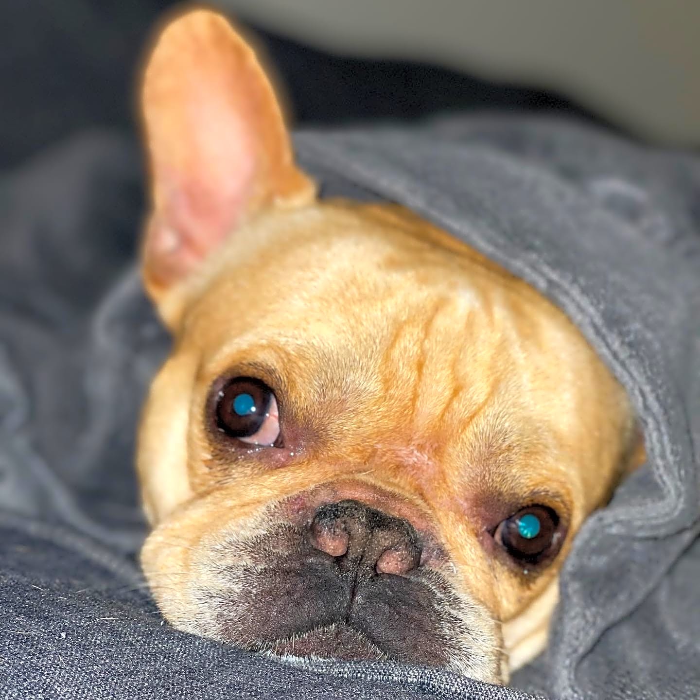 Photo of Maximo