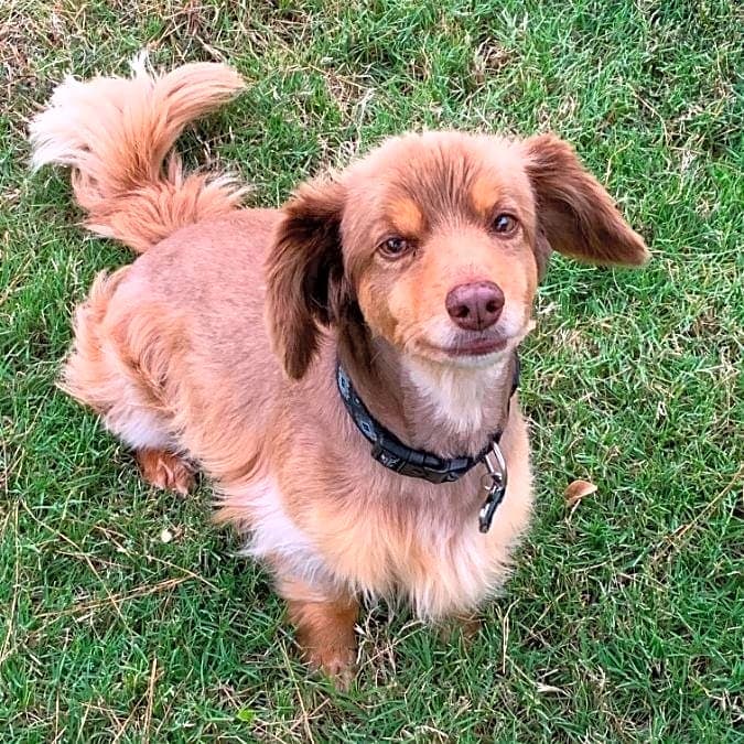 Photo of Hershey