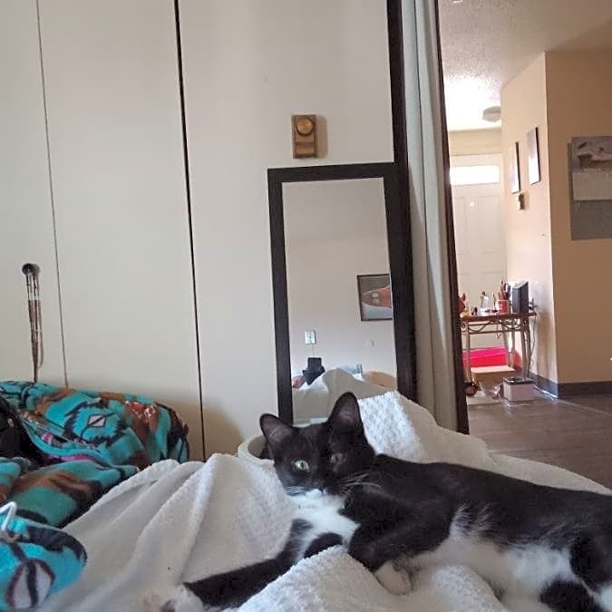 Photo of Bubbles