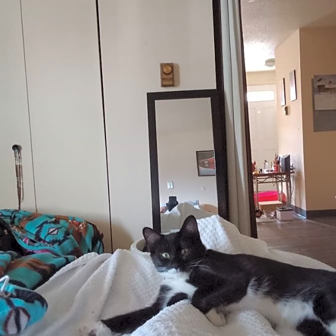 Photo of Bubbles