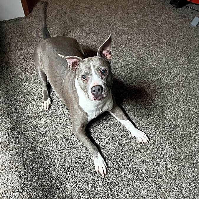Photo of Karma