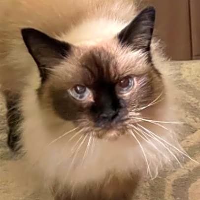 Photo of Princess