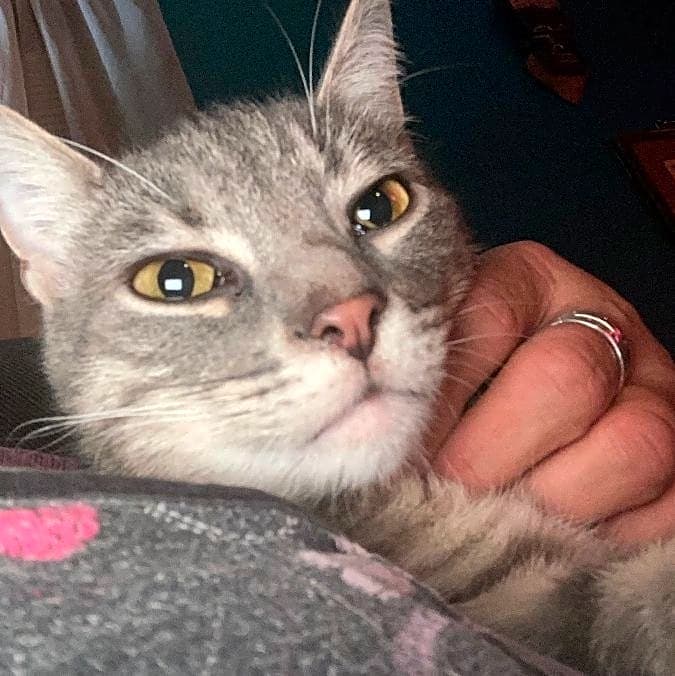 Photo of Frankie