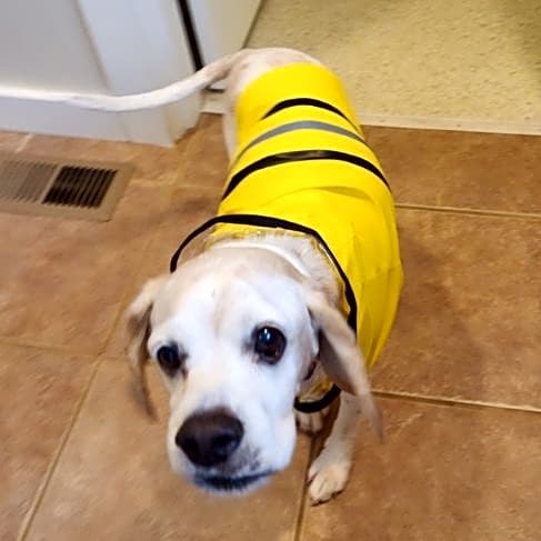 Photo of Tucker