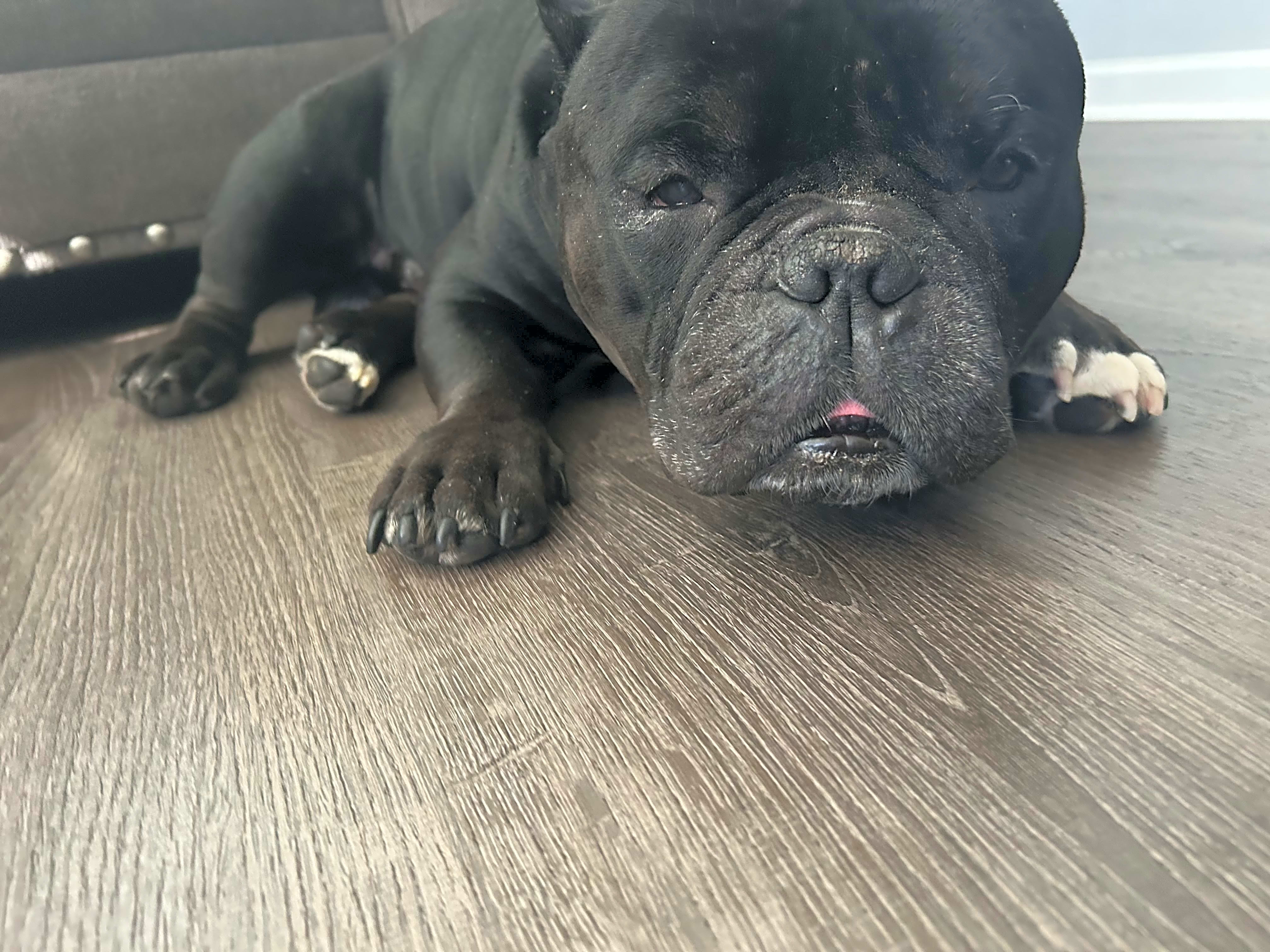 Photo of Nikko