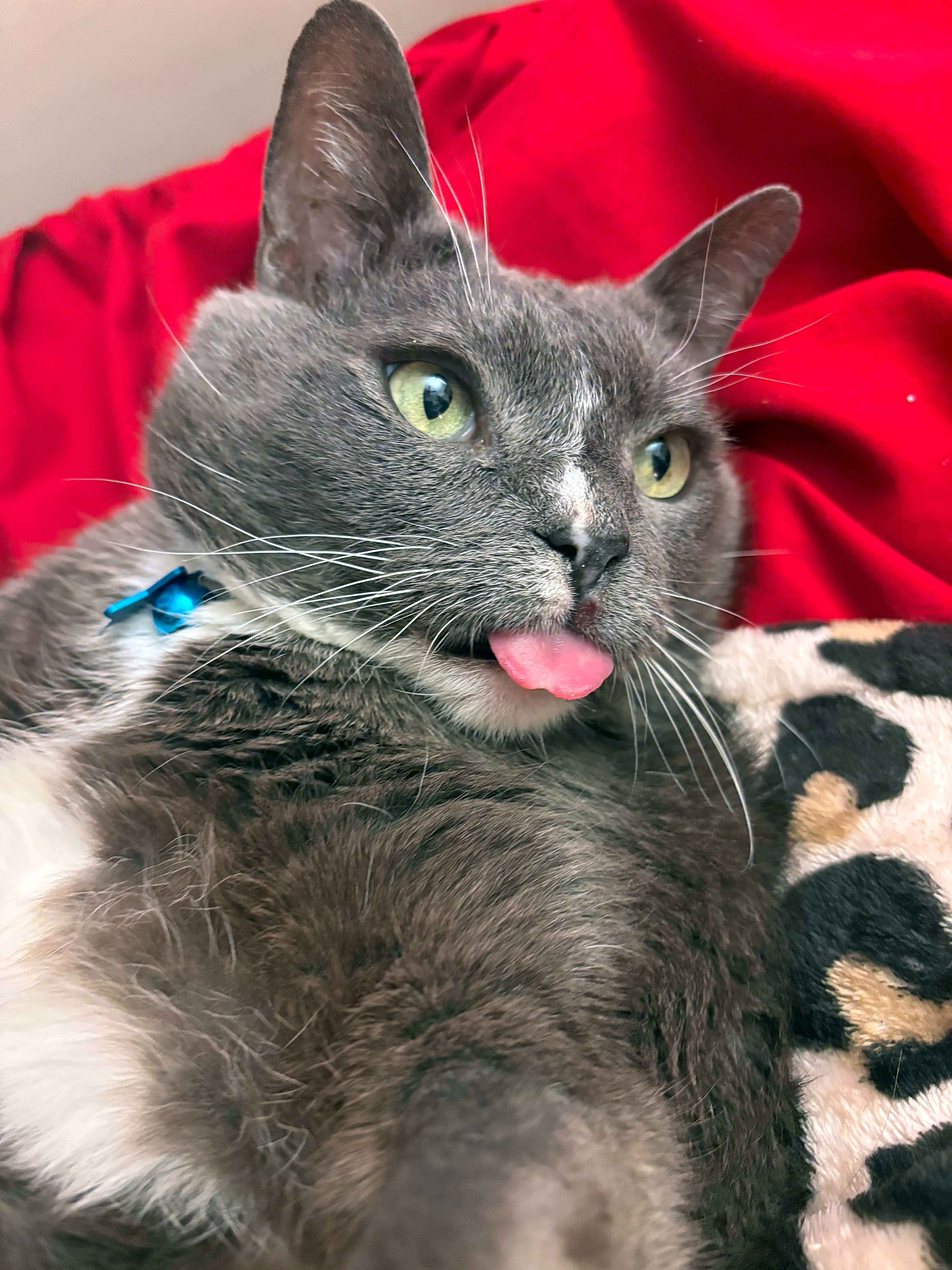 Photo of Stinky