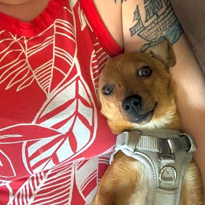 Photo of Penny