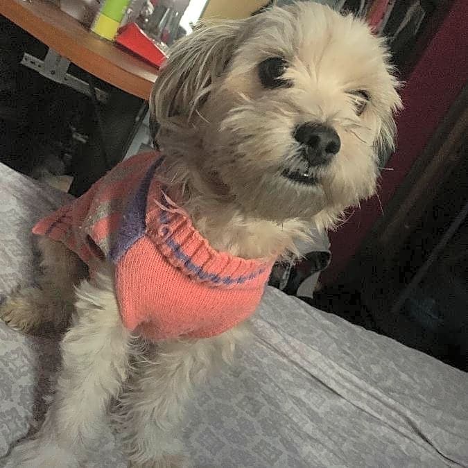 Photo of Bonnie