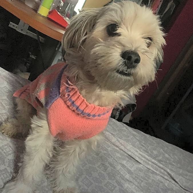 Photo of Bonnie