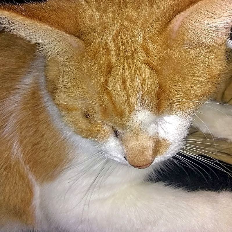 Photo of Wednesday