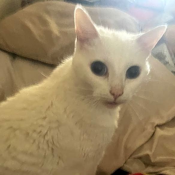 Photo of Mia