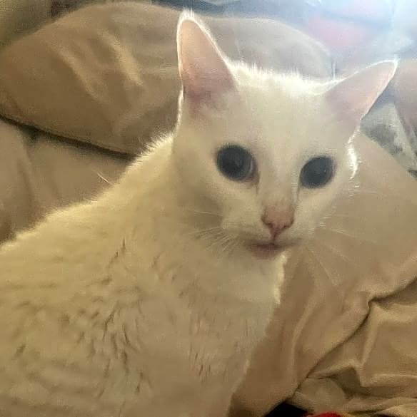 Photo of Mia